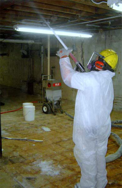 Buckeye Arizona mold Remova