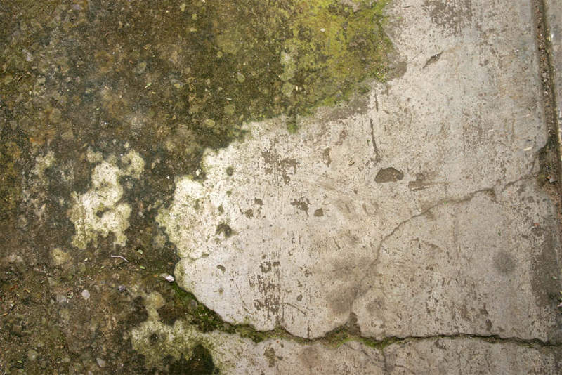 mold remediation in Buckeye